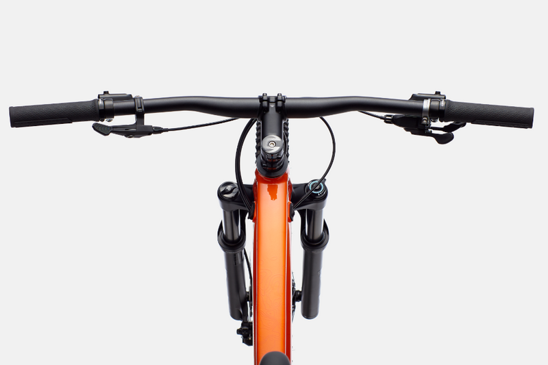 cannondale trail 3 29