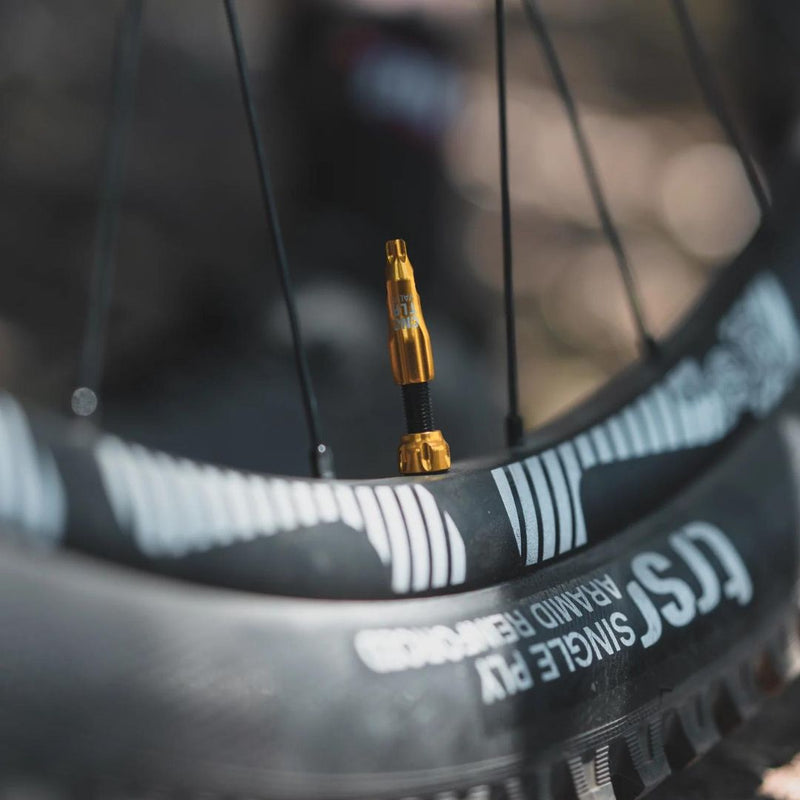 Válvulas tubless Lezyne CNC - Transvision Bike