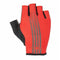 Guantes de dedos cortos Alpinestars Ridge - Transvision Bike