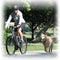 Conexion para correa de perro Petego Cycleash